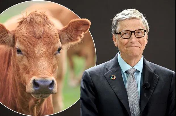 21 28 比尔盖茨呼吁富裕国家：转向100%替代牛肉 #牛年不吃牛#