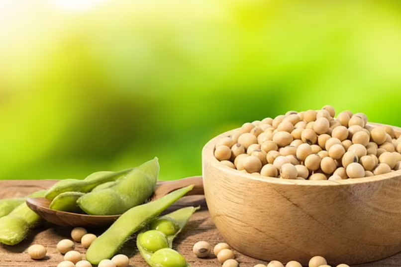 32 11 植物性的、富含大豆的饮食，可以减少 84% 麻烦的更年期症状