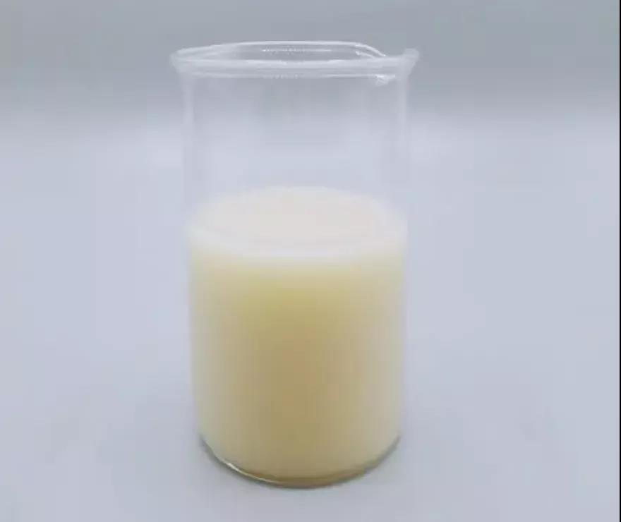41 42 新加坡Sophies Bionutrients开发出世界上第一款藻类制成的牛奶！