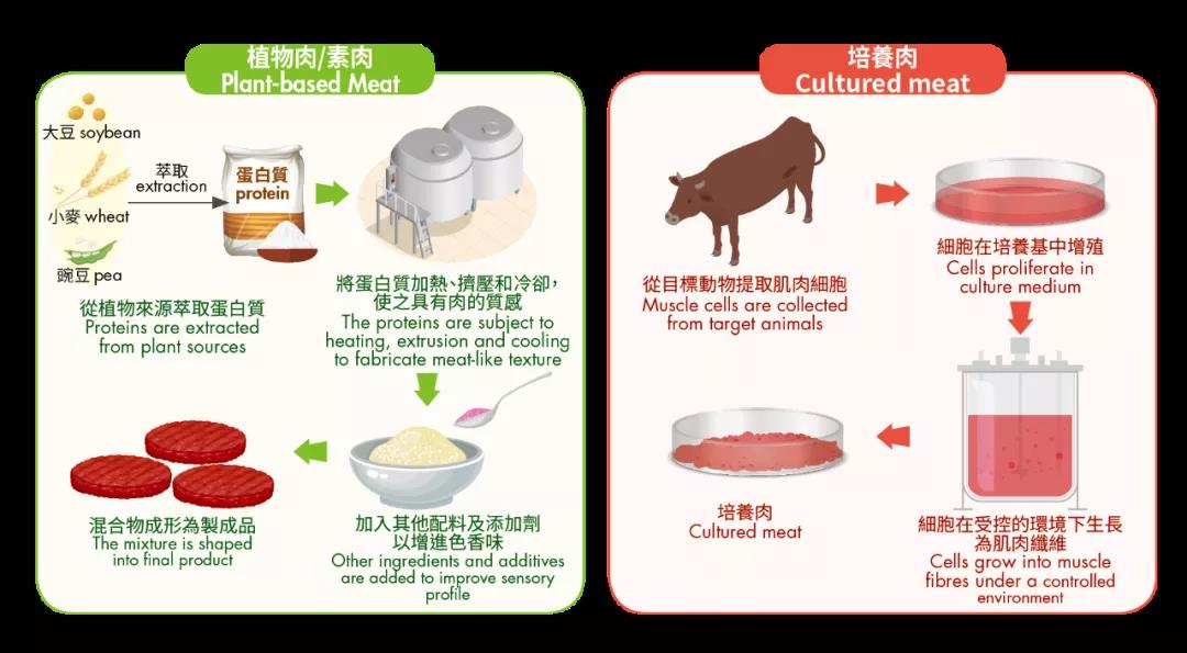 45 5 全球首例！培养鸡肉通过新加坡食品局安全审查，很快能吃到！