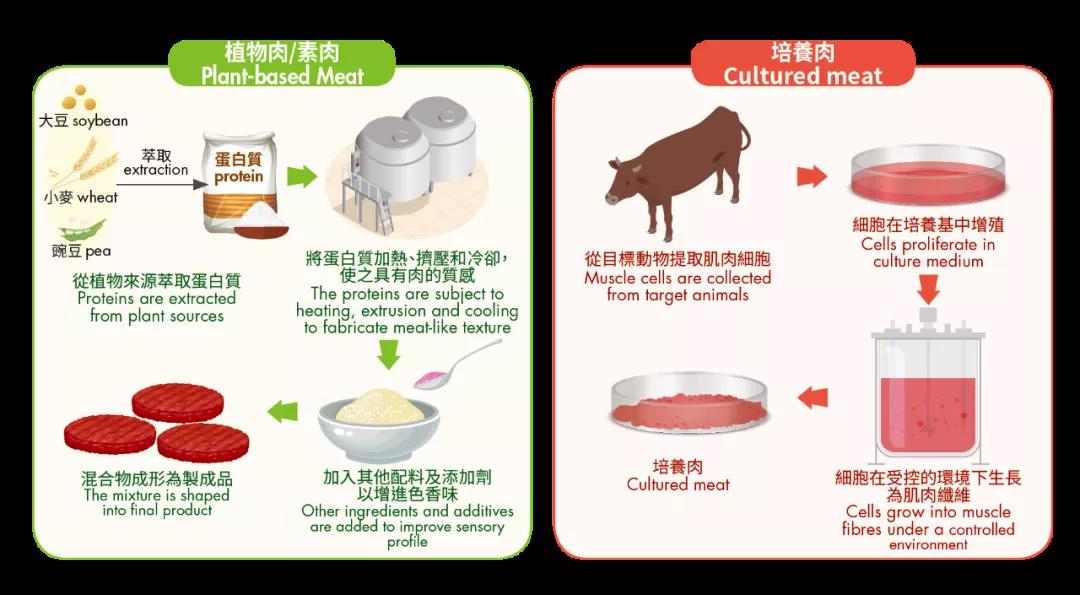 52 5 中国植物肉、培养肉市场潜力远超美国！【最新研究比较中美印三国】