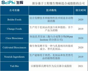 12 2 300x242 人造脂肪产品将于两年内上市，中国将迎来合成生物学产业发展制高点丨专访雅礼生物徐鹏