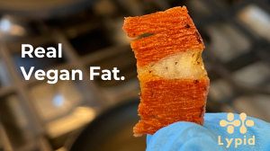 bacon lypid 300x168 为了替代动物脂肪，全球这5家先锋公司值得留意