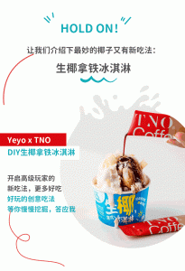 9 205x300 “Yeyo椰优格”推出植物基生椰意式冰淇淋