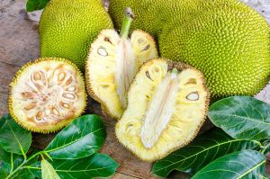 jackfruit 300x199 力矩马来西亚首投！本土初创企业Nanka应用菠萝蜜做植物肉