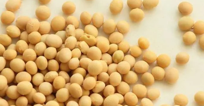 北京工商大学与新素食研究人员发现用于生产植物肉的大豆蛋白具有降血糖效果