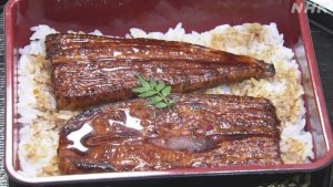1130077290915971072 300x169 日本大型食品制造商日清开发出素肉“鳗鱼蒲烧” 正式发售
