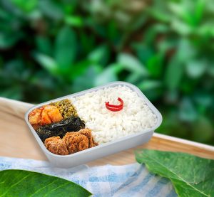 Nasi Rendang 1536x1420 1 300x277 亚洲航空与植物肉品牌Green Rebel合作推出植物肉菜单
