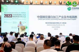 640 3 300x200 2023中国国际豌豆大会暨植物基市场大会在上海举办