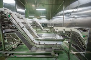 640 1 2 300x200 世界冠军代言，嘉兴市远江生物科技3万吨植物蛋白肉项目即将投产