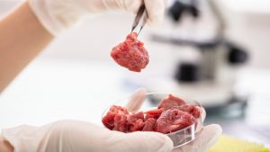 ZTP8d2zAcm5Yjz2VjNZJBM 1 300x169 美国农业部首个细胞培养肉中心“NICA”开放研究资助申请