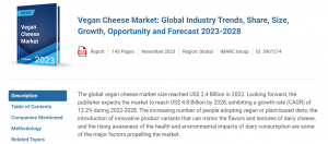 搜狗截图20240418105554 300x132 全球植物性奶酪市场增长迅速 预计2028年将达48亿美元