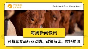 Yellow and White Illustrative Earthquake News Instagram Post 8 300x169 国际 | 可持续食品一周快讯：工厂养殖浪费引热议、真菌蛋白登 TIME 榜单、世界粮食论坛协同破局