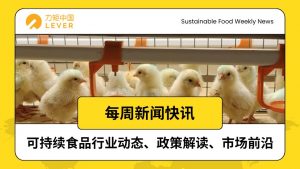 Yellow and White Illustrative Earthquake News Instagram Post 15 300x169 国内 | 可持续食品一周快讯：湖北10亿基金入场、CO₂造蛋白破局、植物基零食攻占便利店