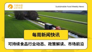 Yellow and White Illustrative Earthquake News Instagram Post 18 300x169 国际 | 可持续食品一周快讯：全球首个培养肉农场落成、菌丝蛋白破解量产瓶颈、植物基创新角逐欧洲大奖